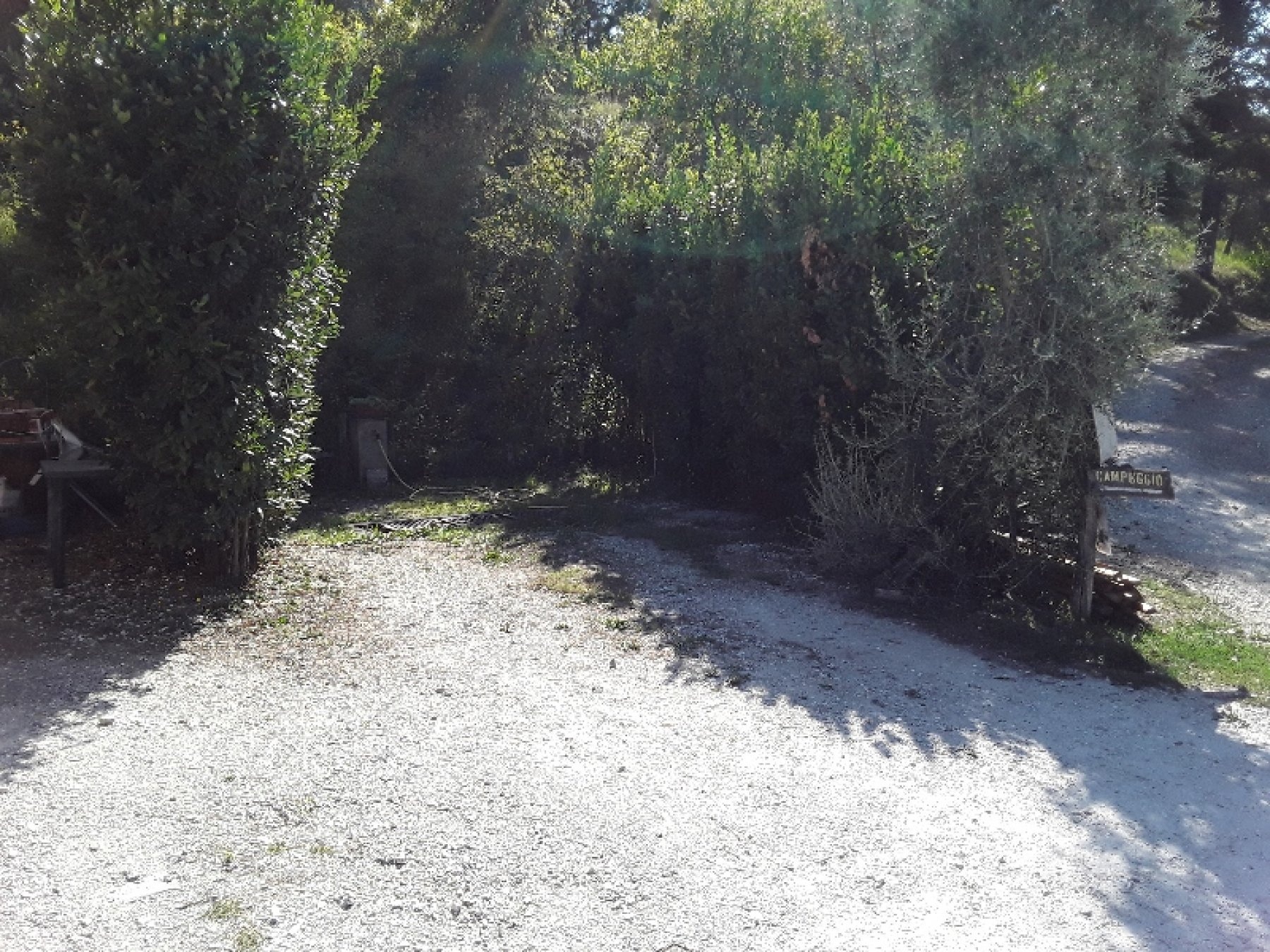 Agricampeggio Cipollatico — Campingplats in Montespertoli