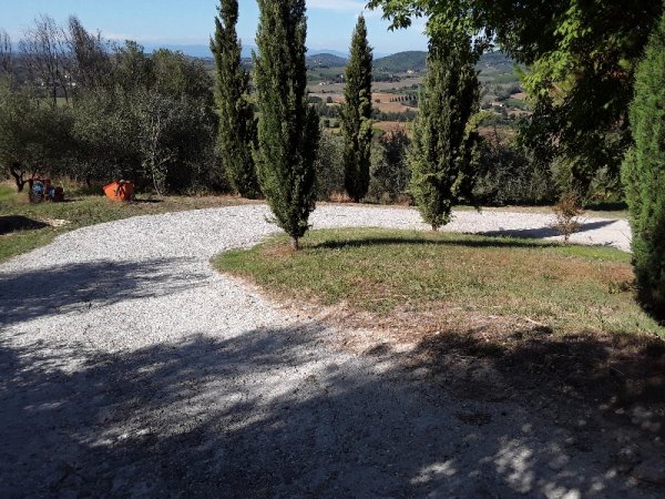 Agricampeggio Cipollatico — Photo 3