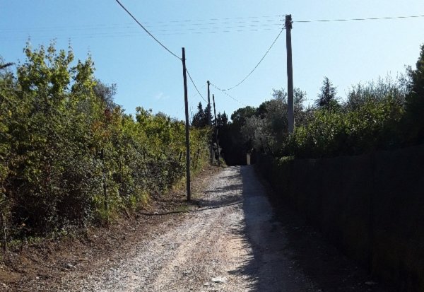 Agricampeggio Cipollatico — Photo 4