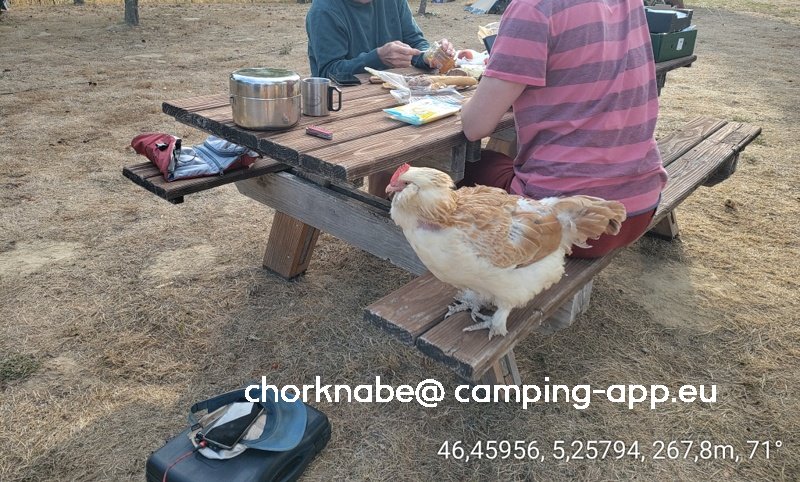 Camping Terre Ferme — Photo 3