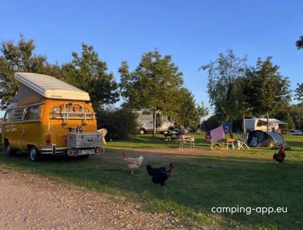 Camping Terre Ferme — Photo 5