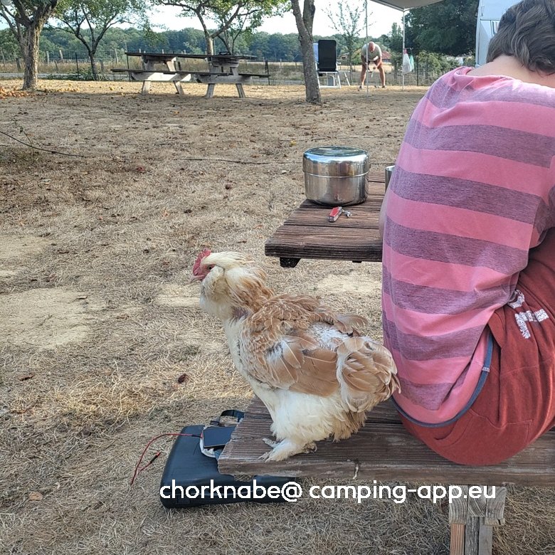 Camping Terre Ferme — Photo 2