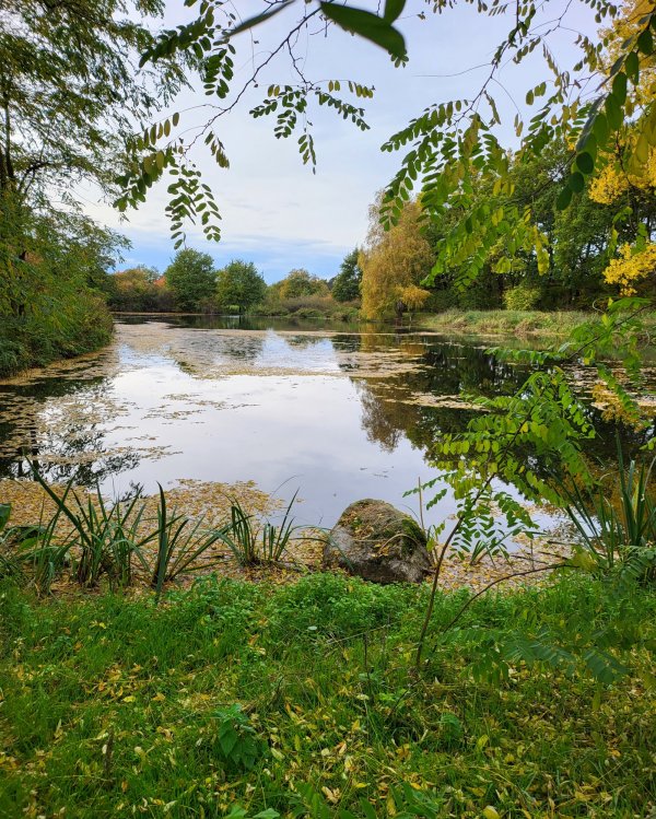 Camping Aller-Leine-Tal — Photo 4