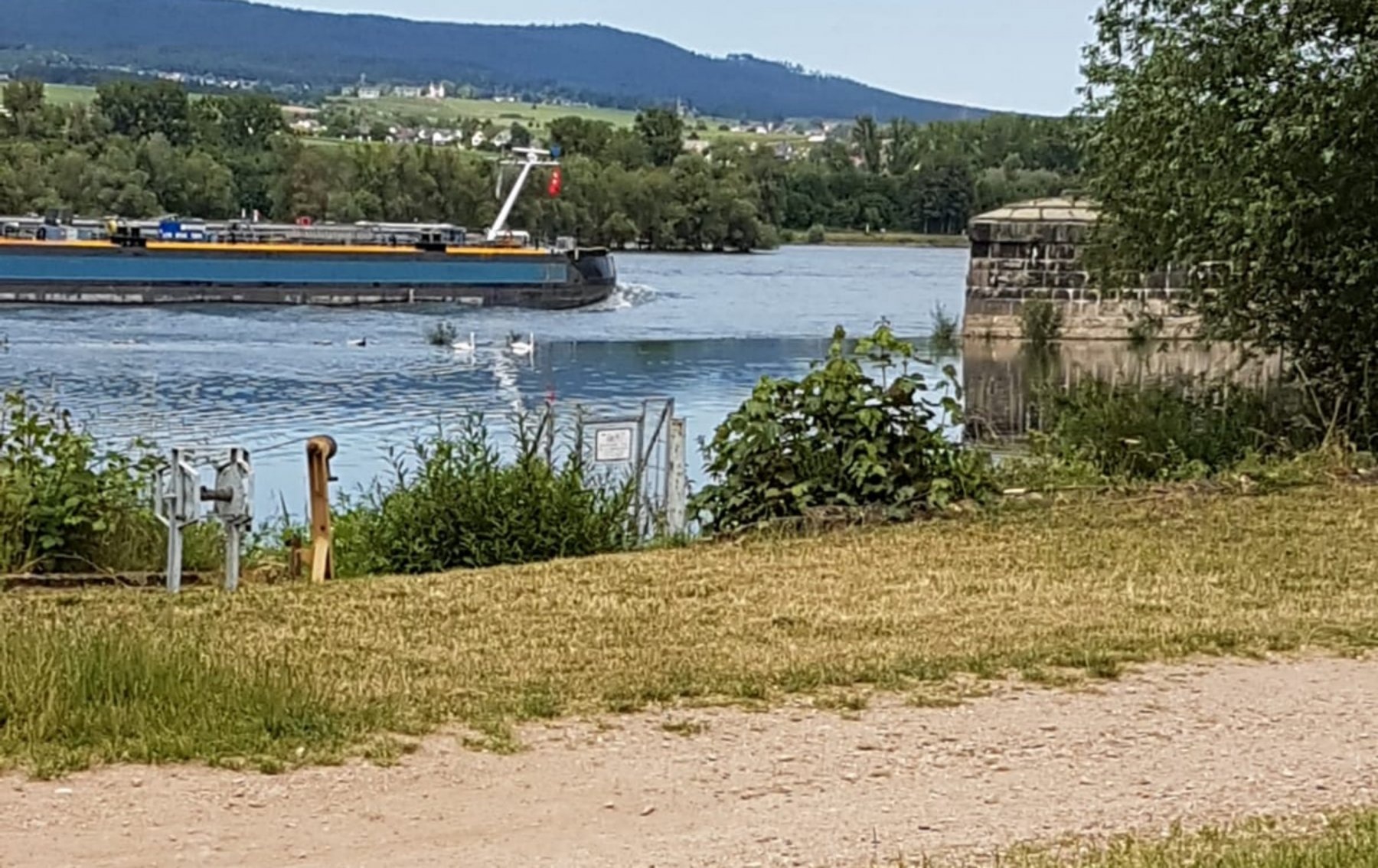 Campingplatz Hindenburgbrücke — Kamp yeri in Bingen am Rhein