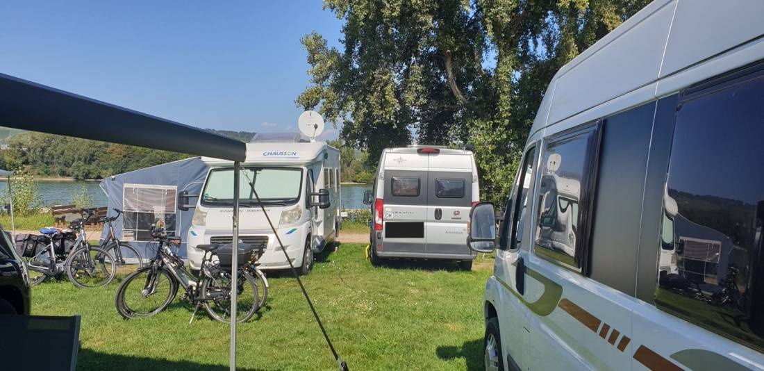 Campingplatz Hindenburgbrücke — Campingplatz in Bingen am Rhein