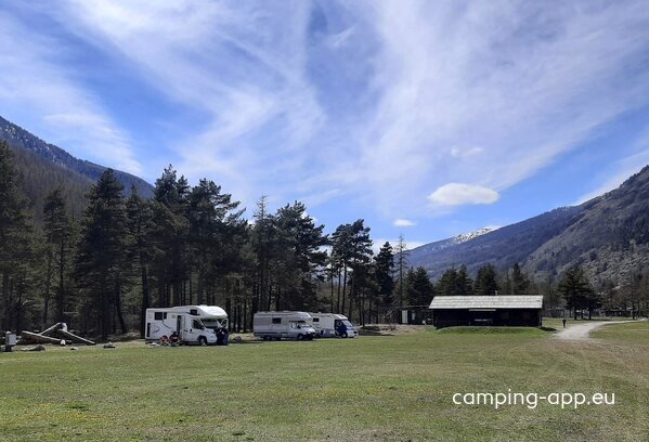 Stellplatz Magic Forest — Photo 2