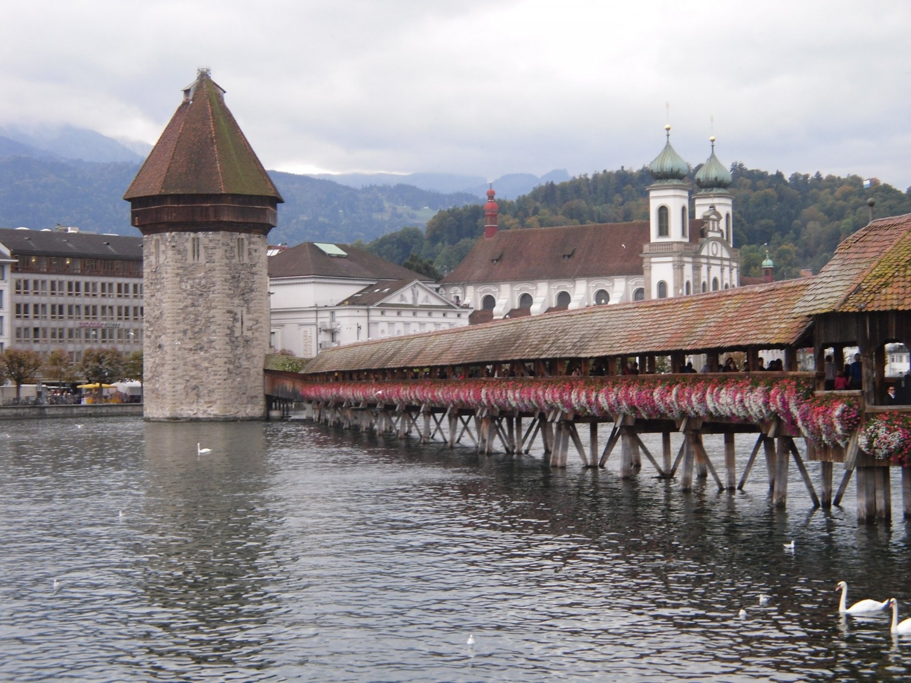 Camping International Lido **** — Camping Site in Luzern