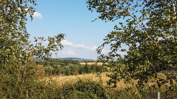 Camping Pod Lasem — Campingplads in Bolków