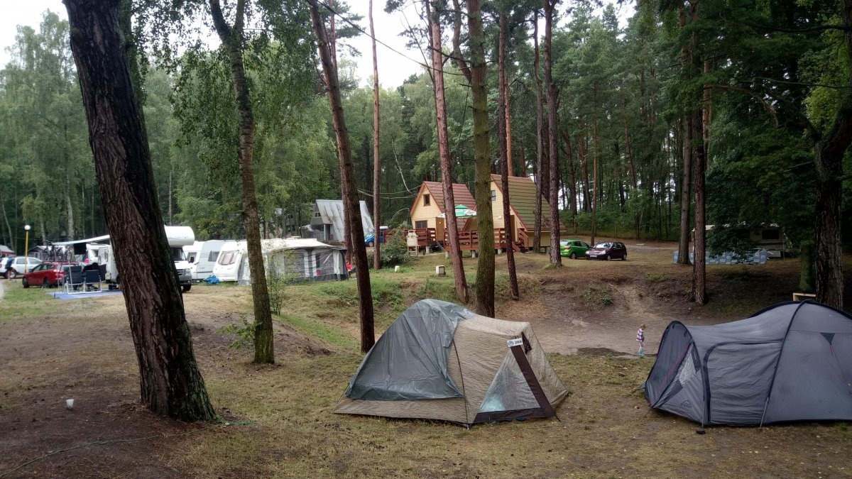Tramp — Kamp yeri in Kołczewo