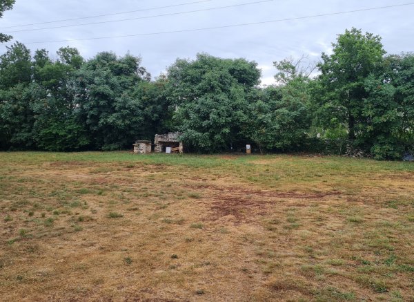 Eco Gecko's Mini Autokamp