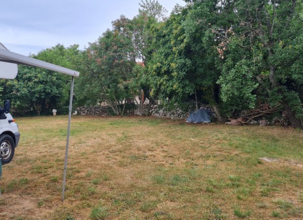 Eco Gecko's Mini Autokamp — Photo 4