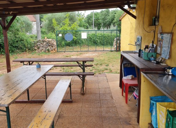 Eco Gecko's Mini Autokamp — Photo 3