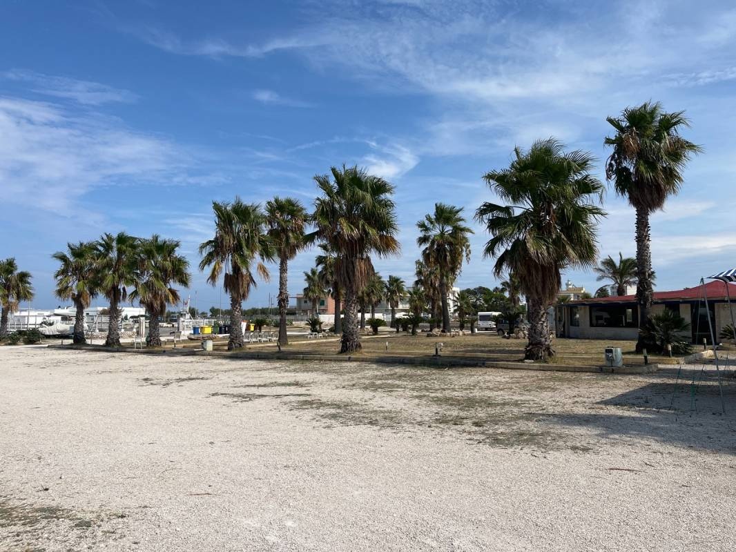 ILPRIVILEGIO BEACH — Kemp in Fasano
