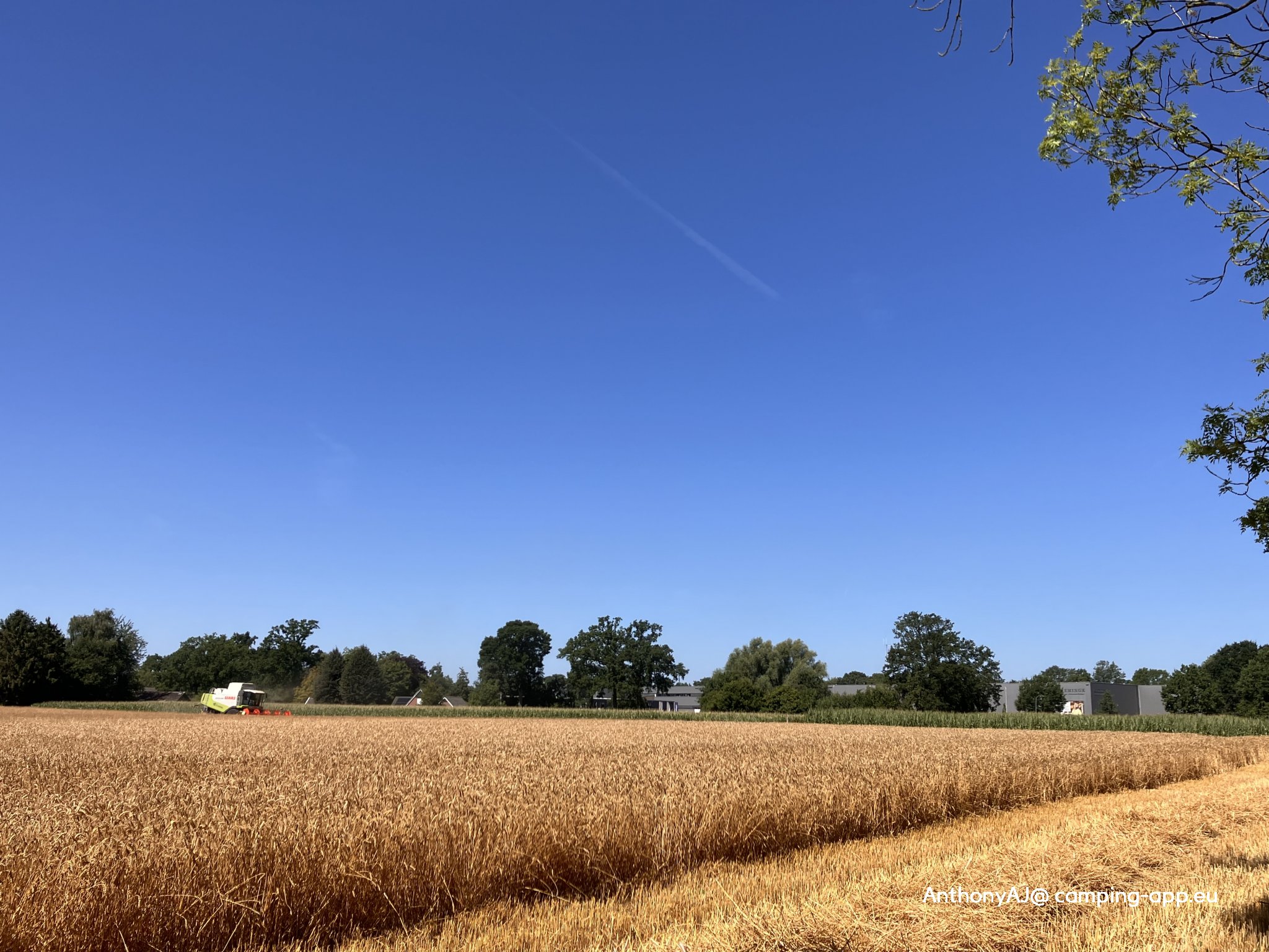 Minicamping Nieuw Kempink — Photo 2