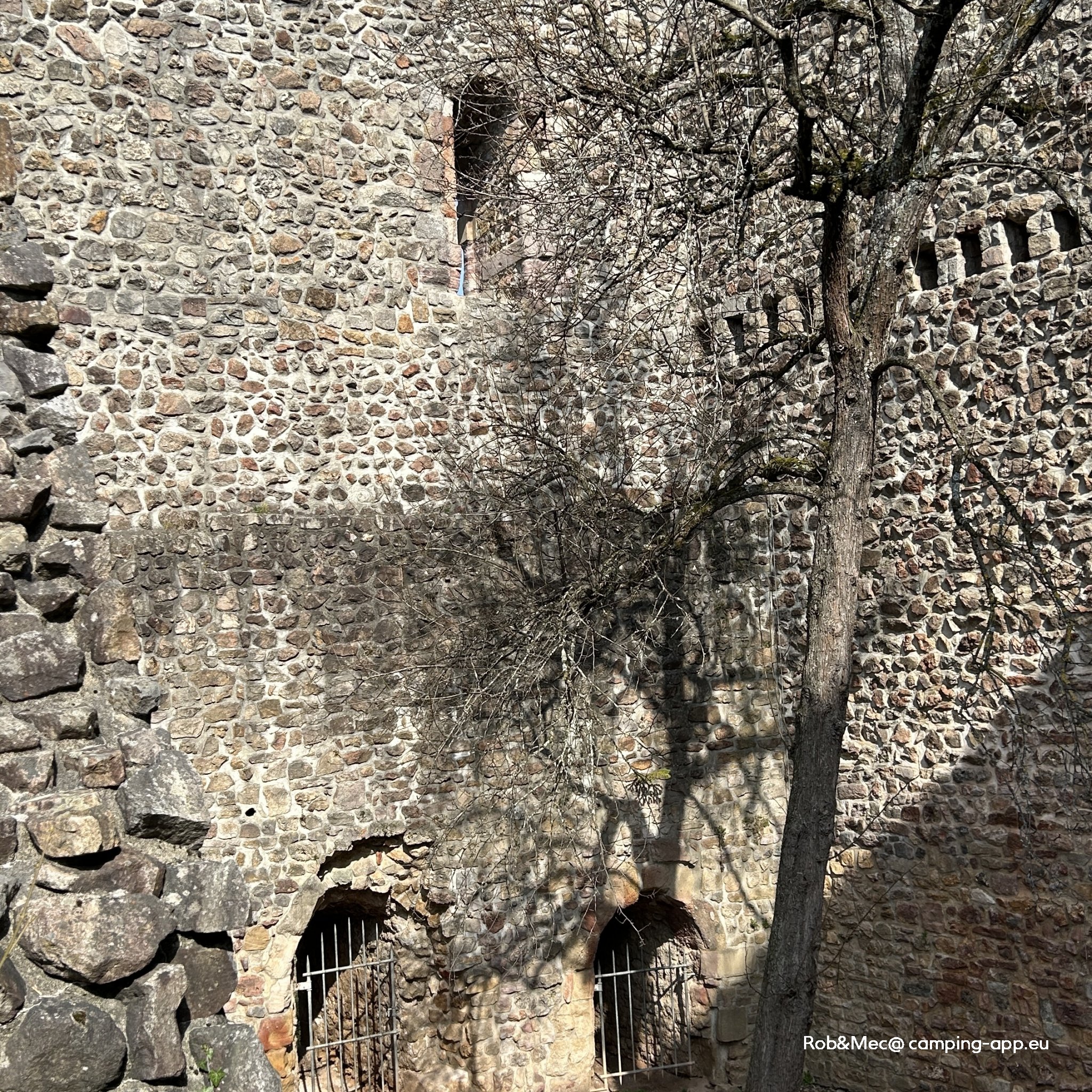 Feriencamping Badenweiler — Photo 4