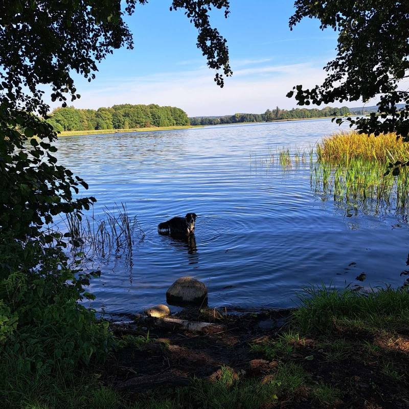 Camping Inter Nos Nr. 116 — Campingplats in Złocieniec