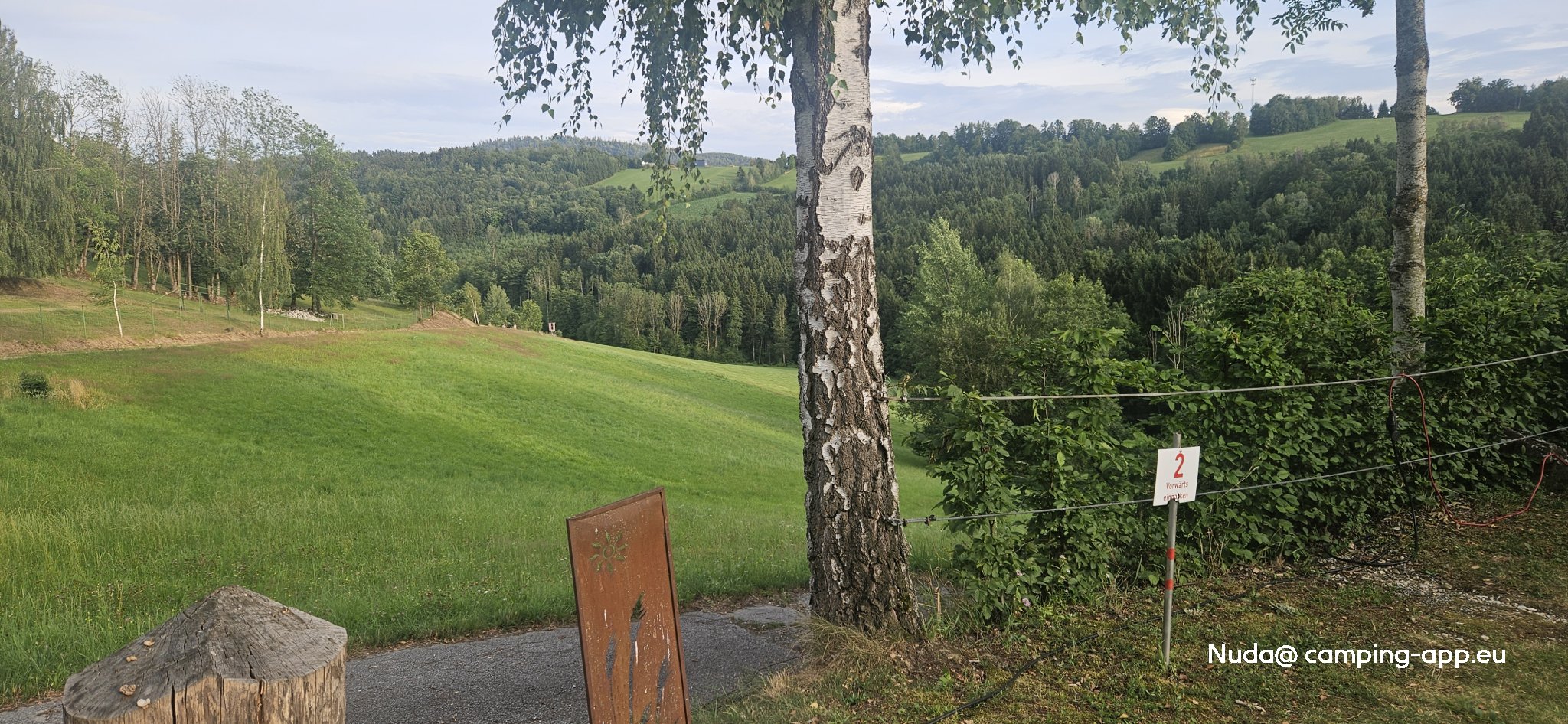 Natur pur Bayerwald — Photo 3