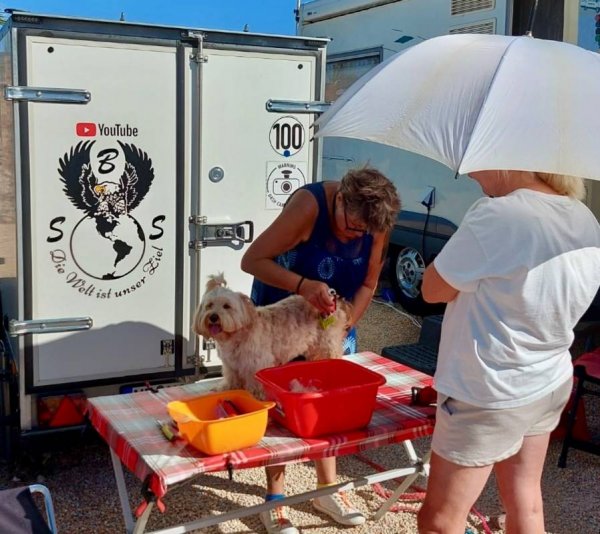 Los Alcázares Area Autocaravanas — Photo 4