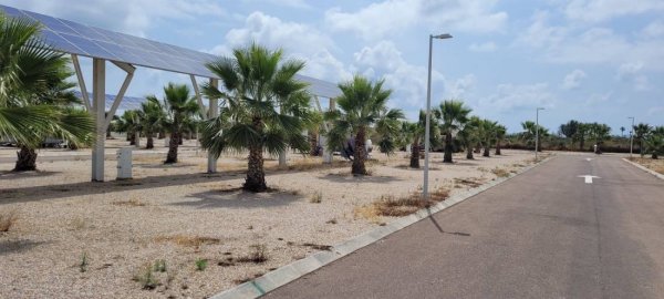 Los Alcázares Area Autocaravanas — Photo 2