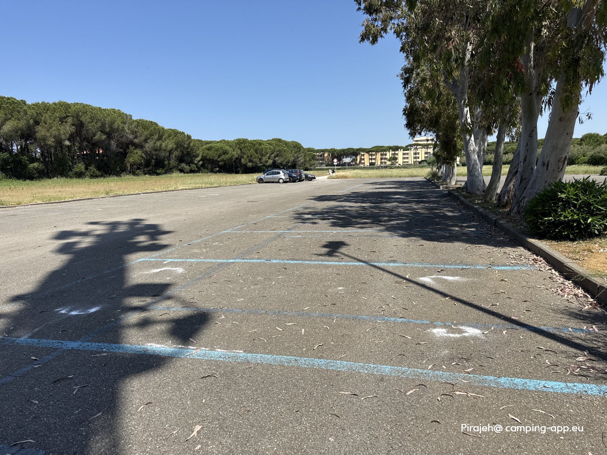 Area Camper Marina di Bibbona — Photo 4