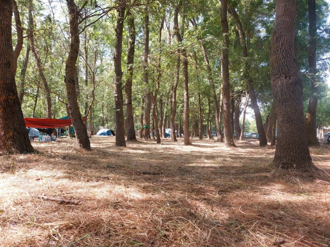 Camping Krapets — Sítio de acampamento in Krapets