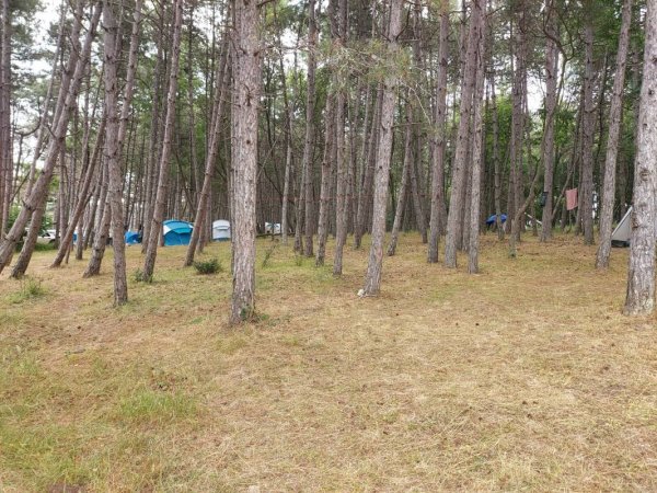 Camping Dolphin — Foto 2