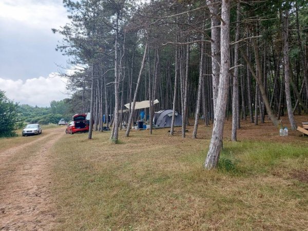 Camping Dolphin — Foto 4
