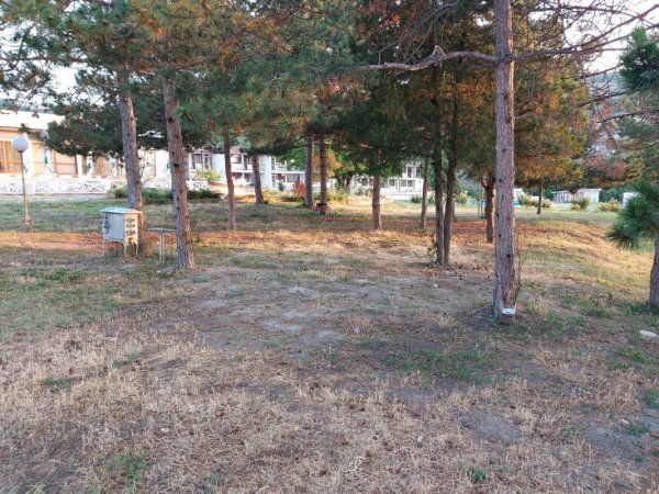Camping Saint George Resort — Foto 2