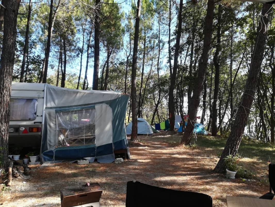 Camping Ecoclub Varna — Campingplads in  Rakitnika, Varna