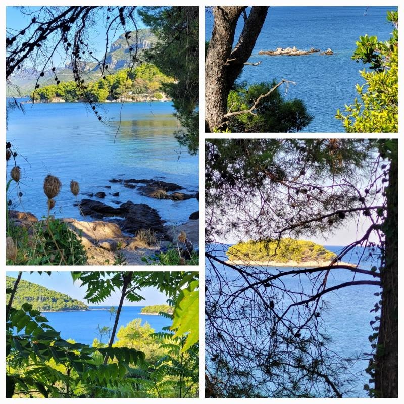 Vučine Žuljana Campsite — Campingplads in Žuljana