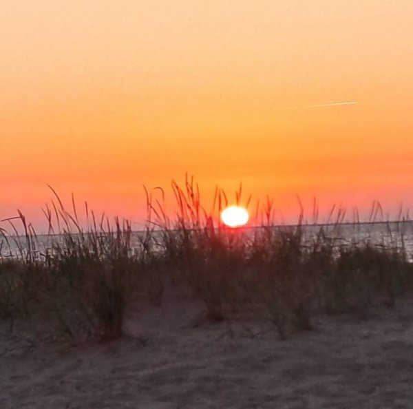 Wohnmobilstellplatz Hörnum Sylt — Photo 3