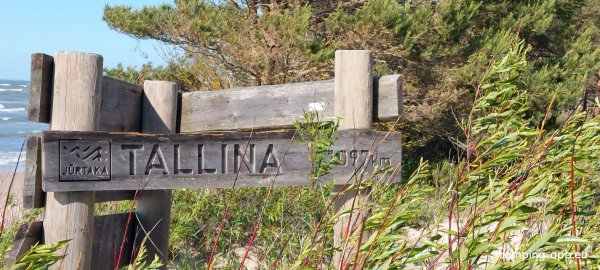 Pāvilostas Skata Tornis — Foto 4