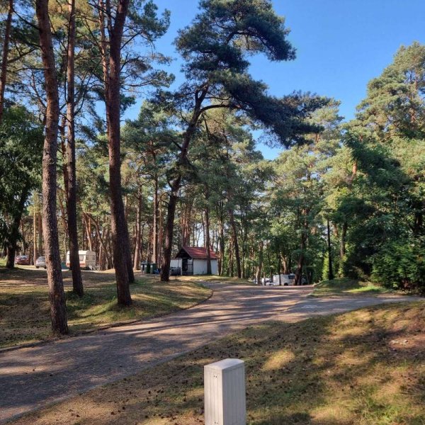 Nr. 180 Stegna — Foto 3