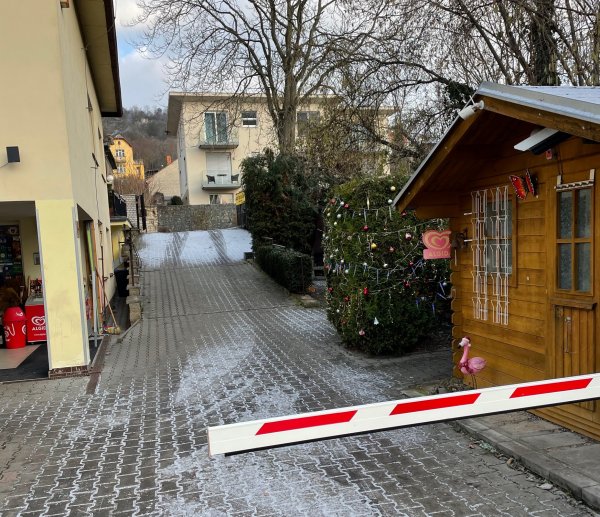 Camp Dana — Photo 3