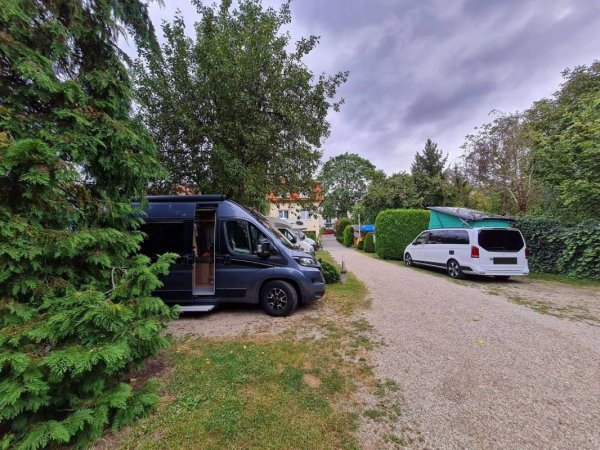 Camp Dana — Photo 5