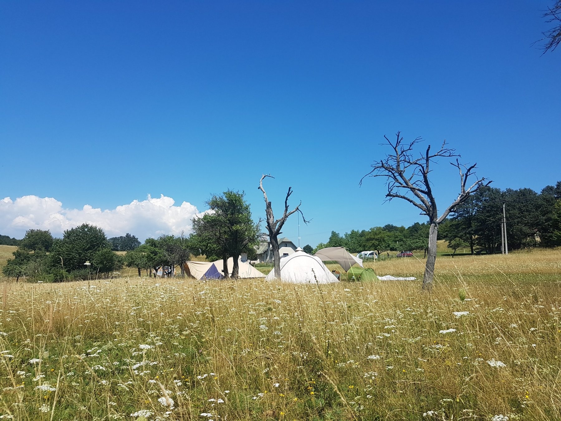 Camping & Glamping Slovakia — Kamp yeri in Čebovce