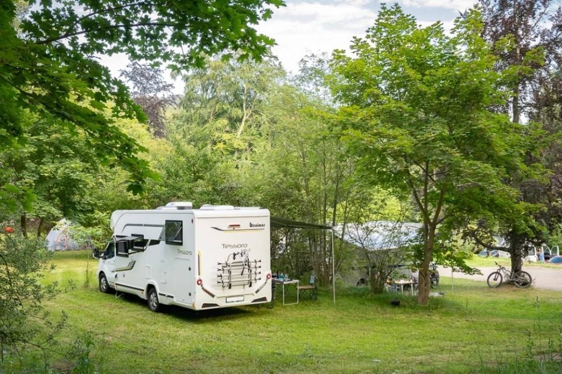 Leśny Dwór - Waldgut Nr. 196 — Kamp yeri in Wolibórz