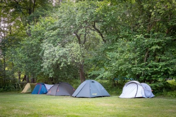 Leśny Dwór - Waldgut Nr. 196 — Photo 2
