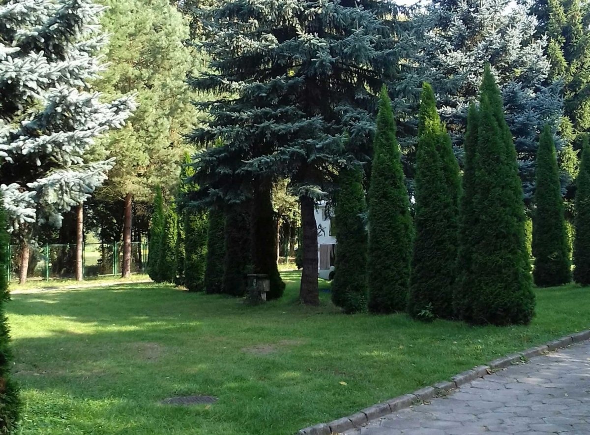 Camping Nogat Nr. 197 — Kemping in Malbork