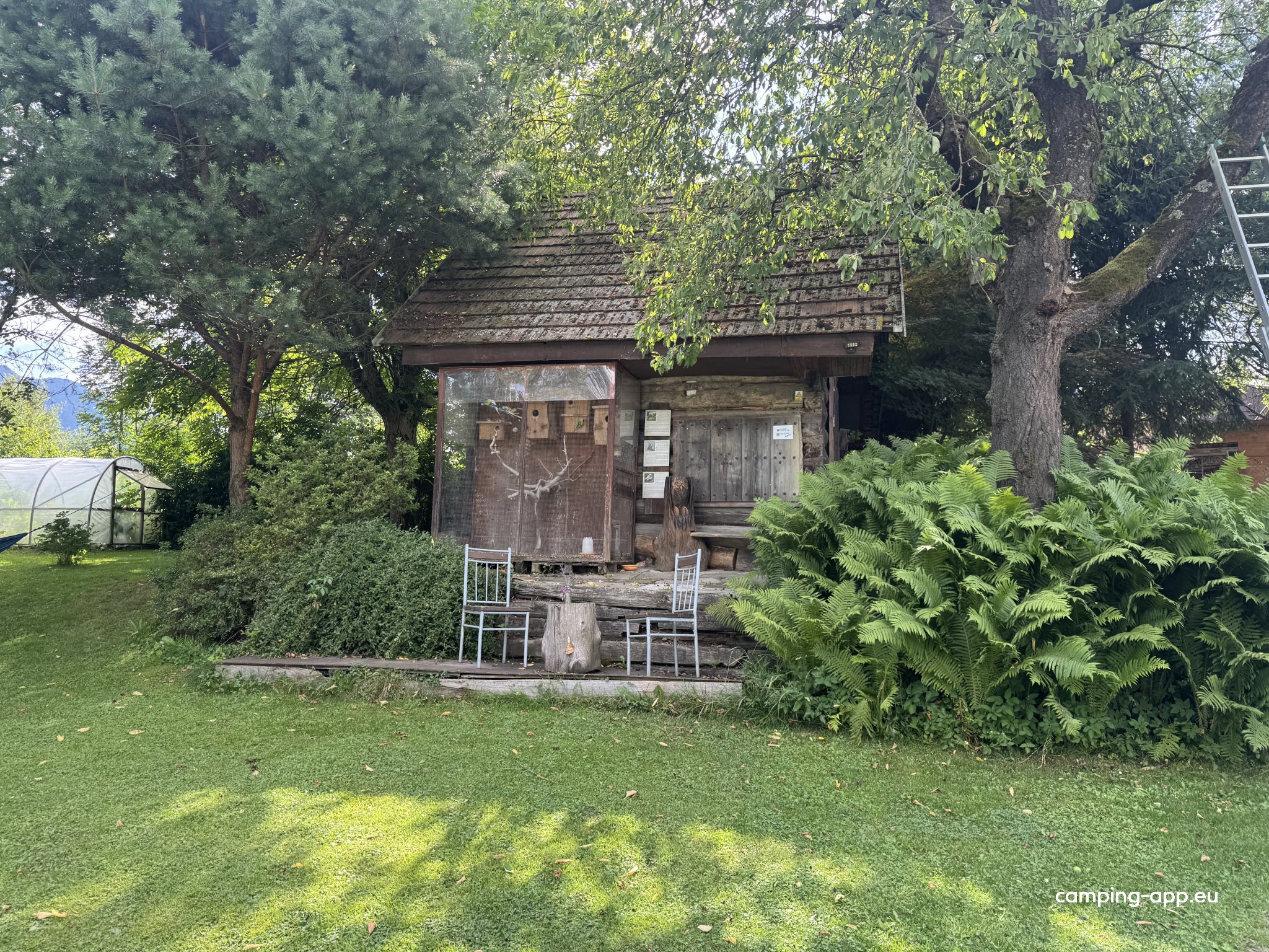 Minikemp Arrow — Fotoğraf 5