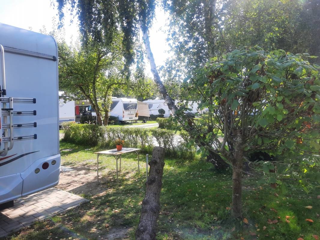 Pomona — Campingplads in Niechorze