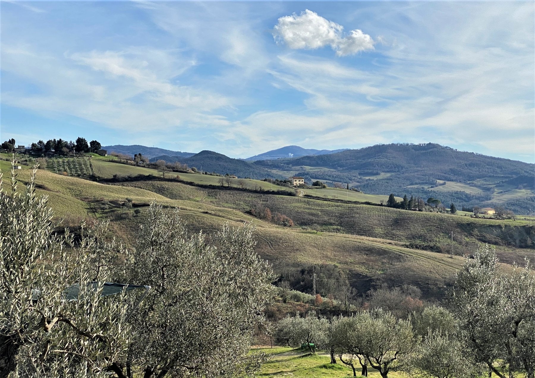 Il Colono — Winery in Pomarance