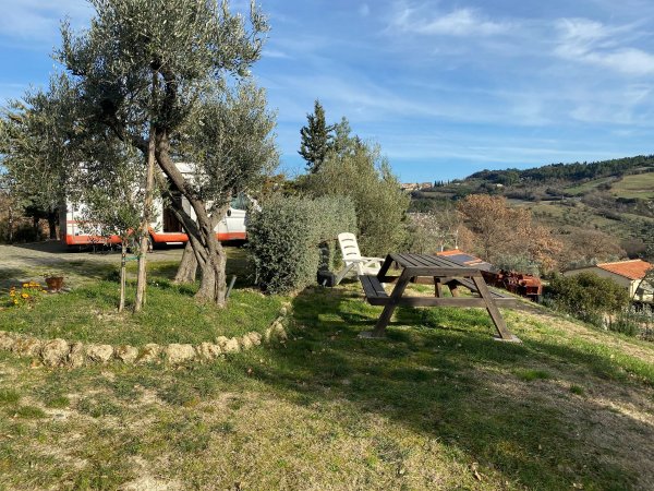Il Colono — Photo 2