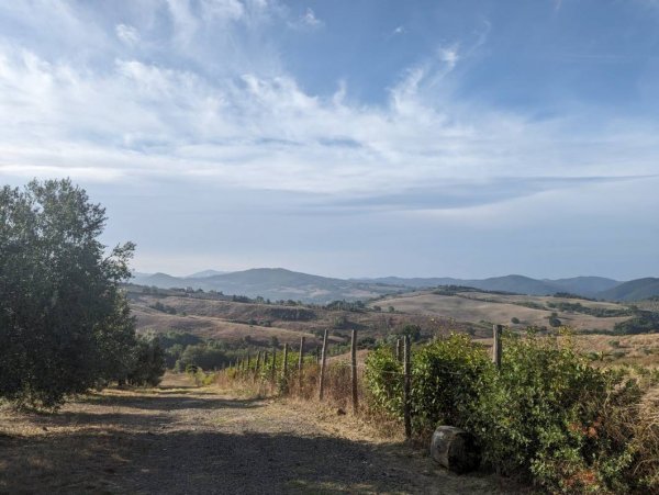 Il Colono — Foto 5