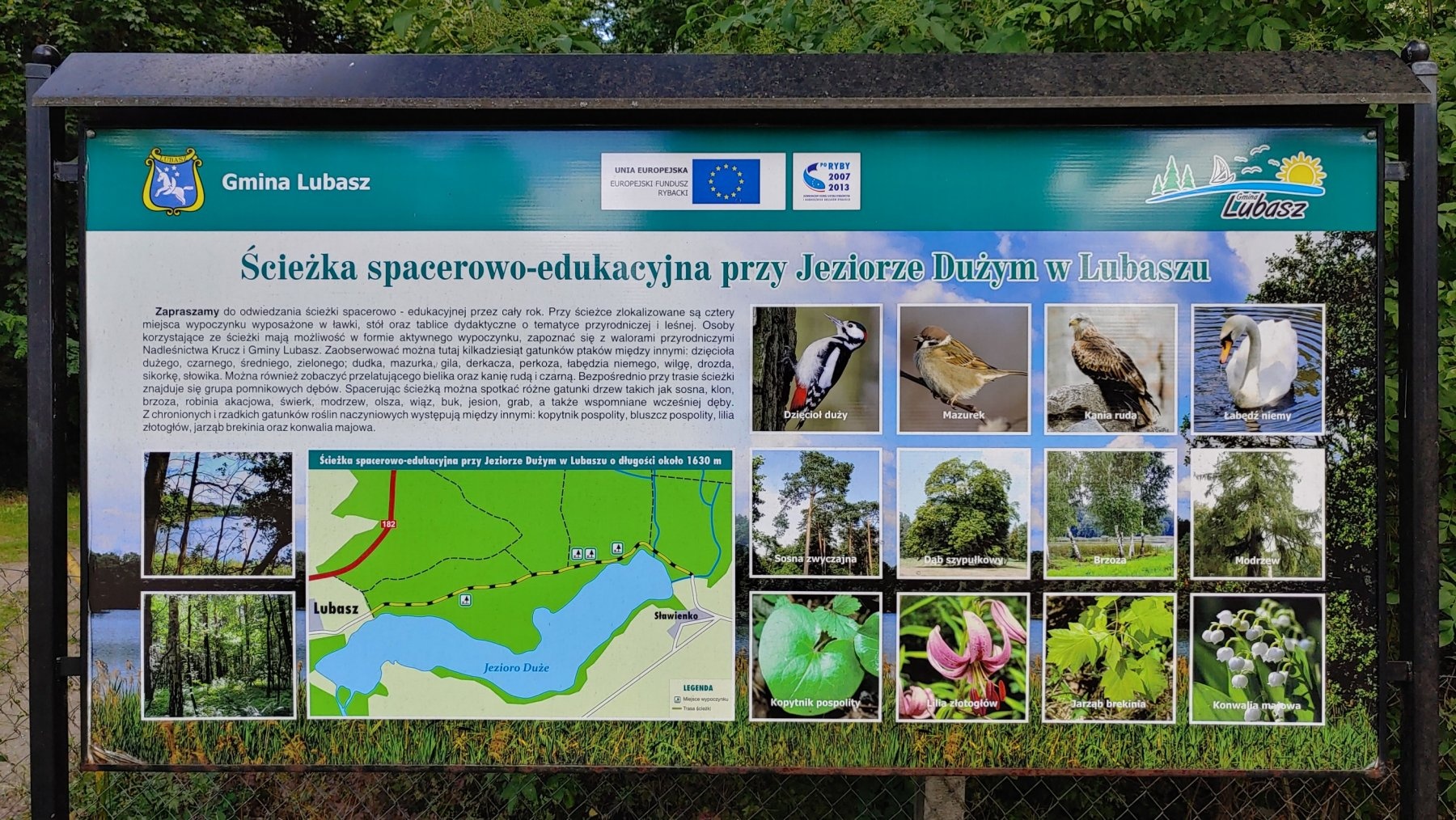 Nr. 214 — Campingplass in Lubasz