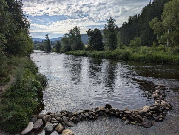 Autokemp Annín I. — Photo 4