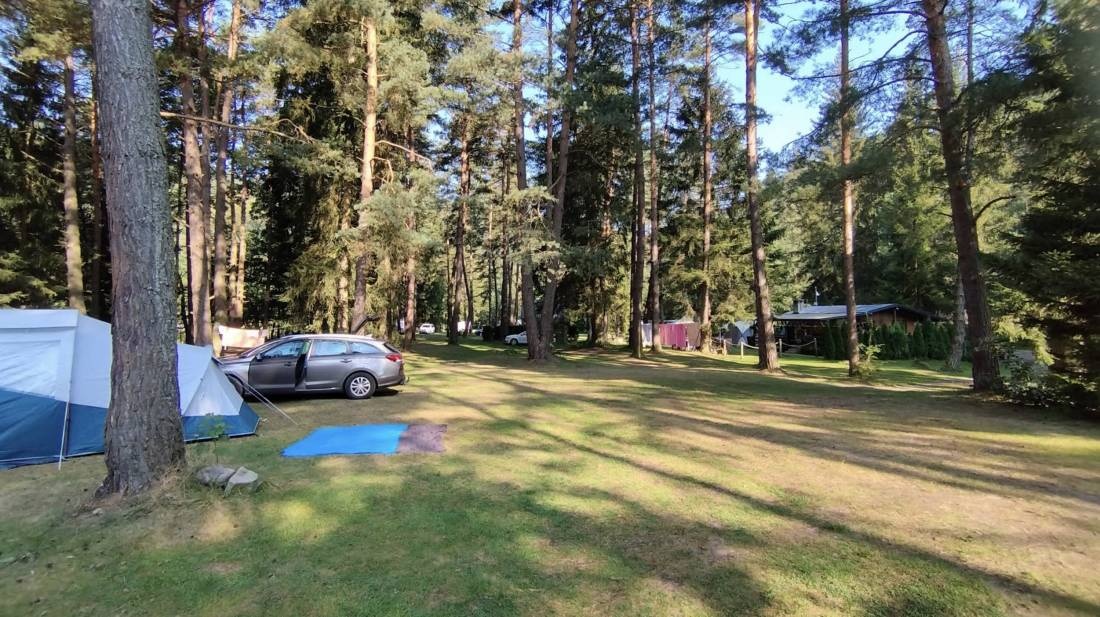 Annín Tree Park Camp — Місце для кемпінгу in Dlouhá Ves