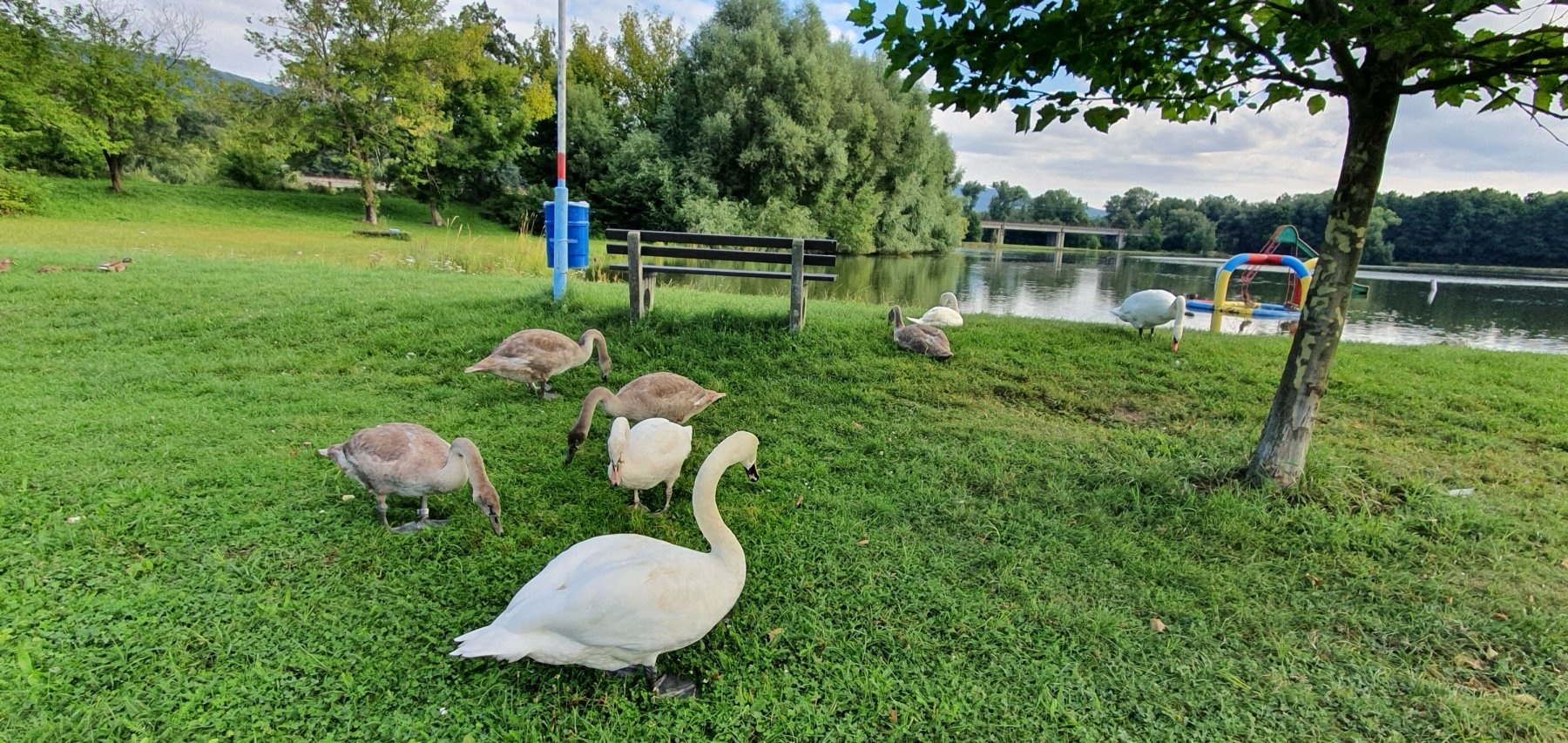 Autokemp Chabařovice — Місце для кемпінгу in Chabařovice