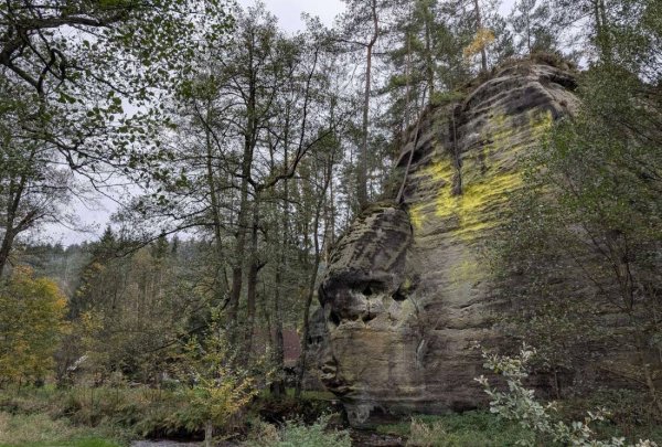 Autokemp Jetřichovice — Fotoğraf 3