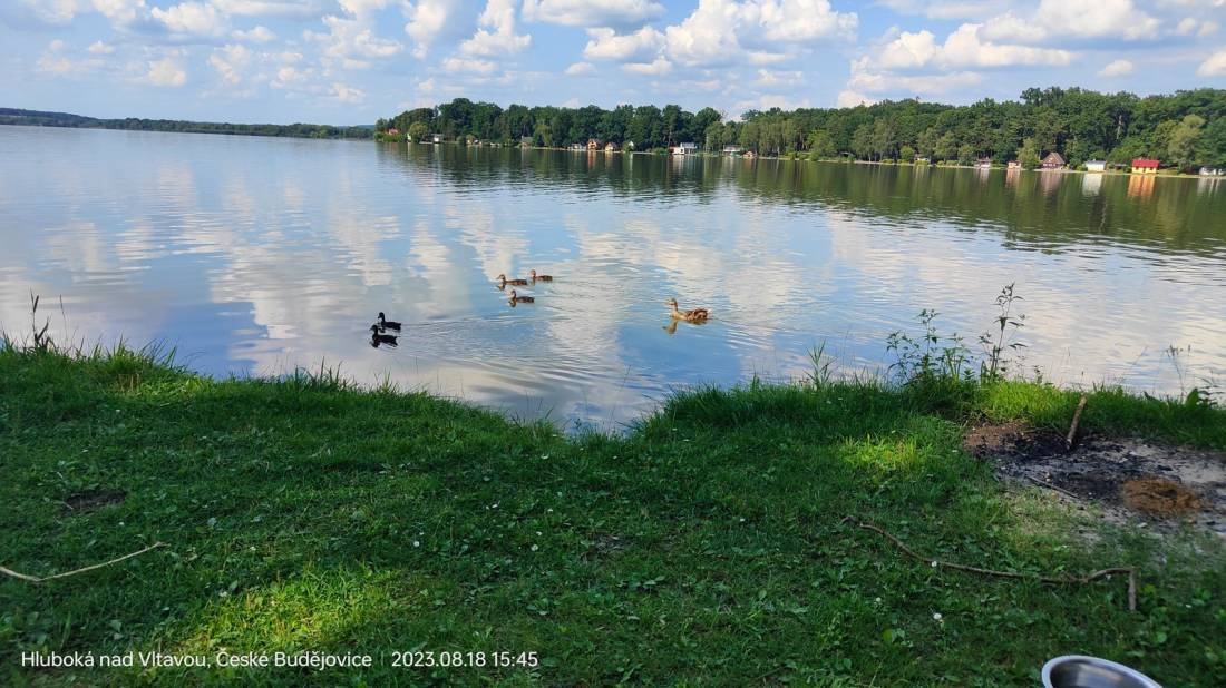 Camping Bezdrev — Camping in Hluboká nad Vltavou